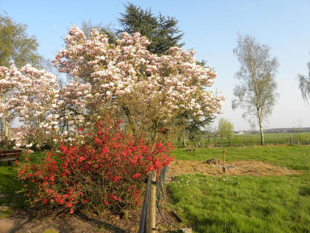 B&B Artiriacumhoeve Zedelgem Exteriér fotografie